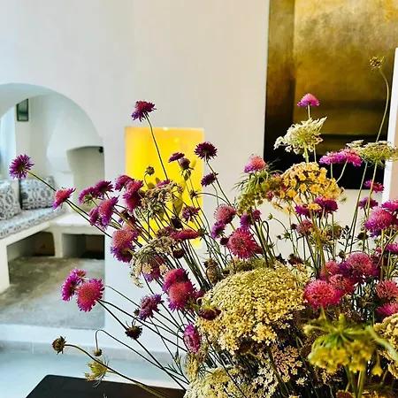 Cieloterra Cozy Roof Terrace Holiday home Carovigno